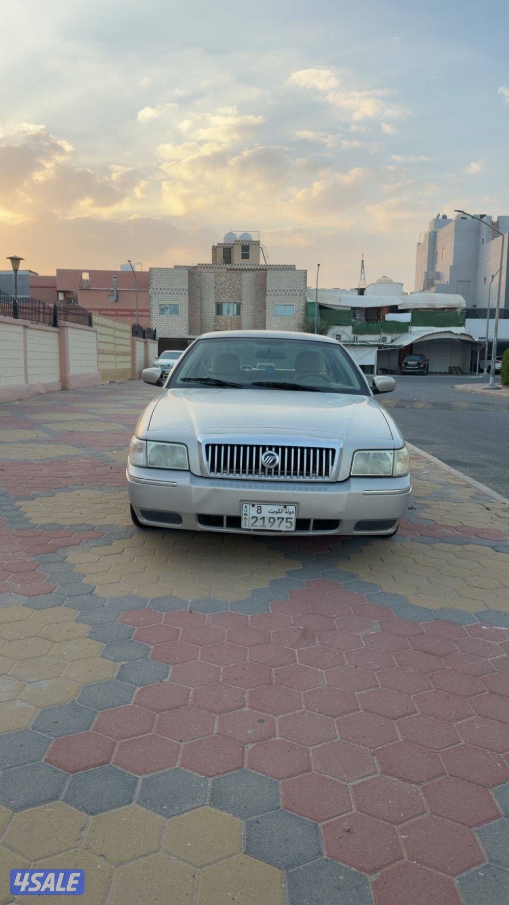 شرط بالكامل صبغ وكاله1