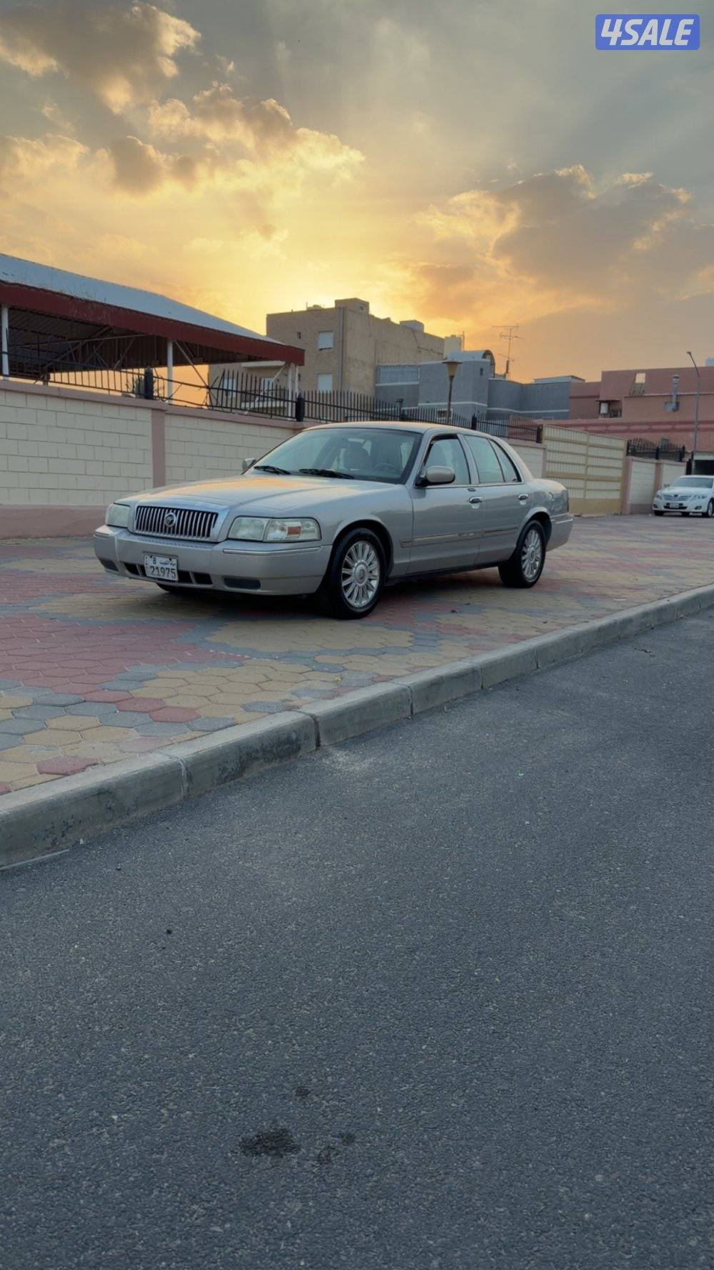 شرط بالكامل صبغ وكاله4