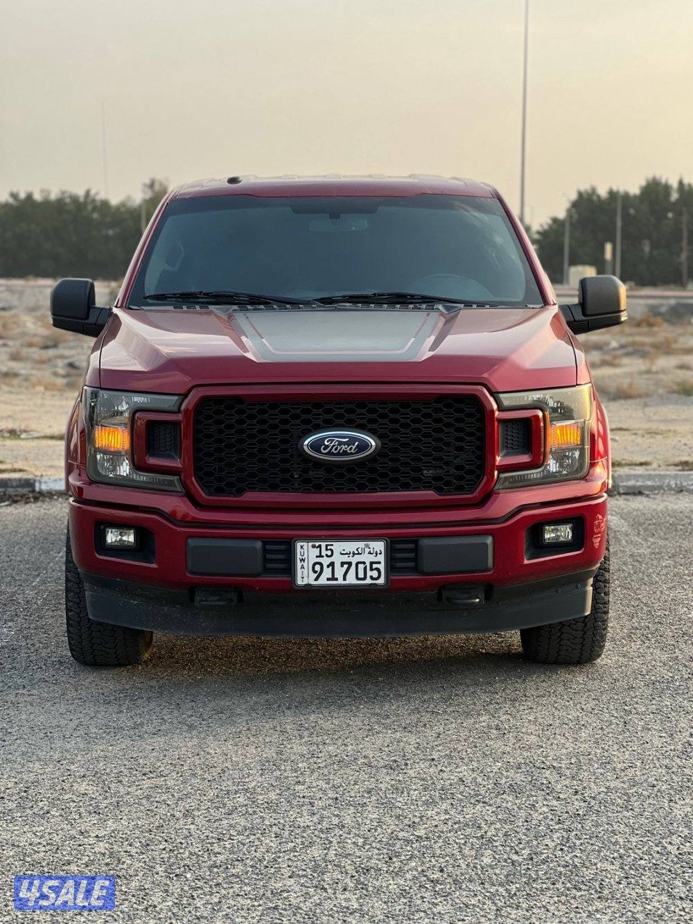 للبيع وانيت فورد مواصفات خاصه 20184