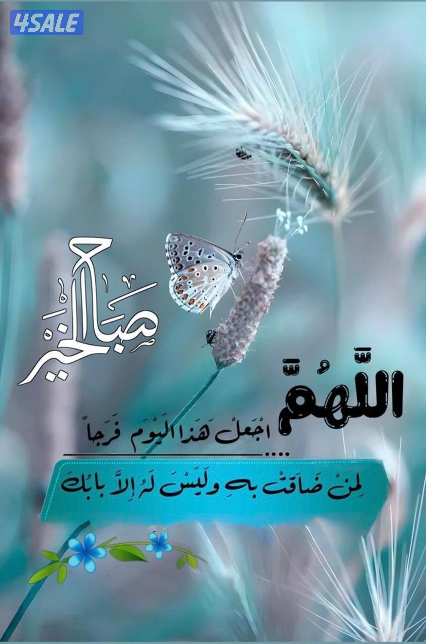 انا شاب سوداني محتاج وظيفة مهما كانت0