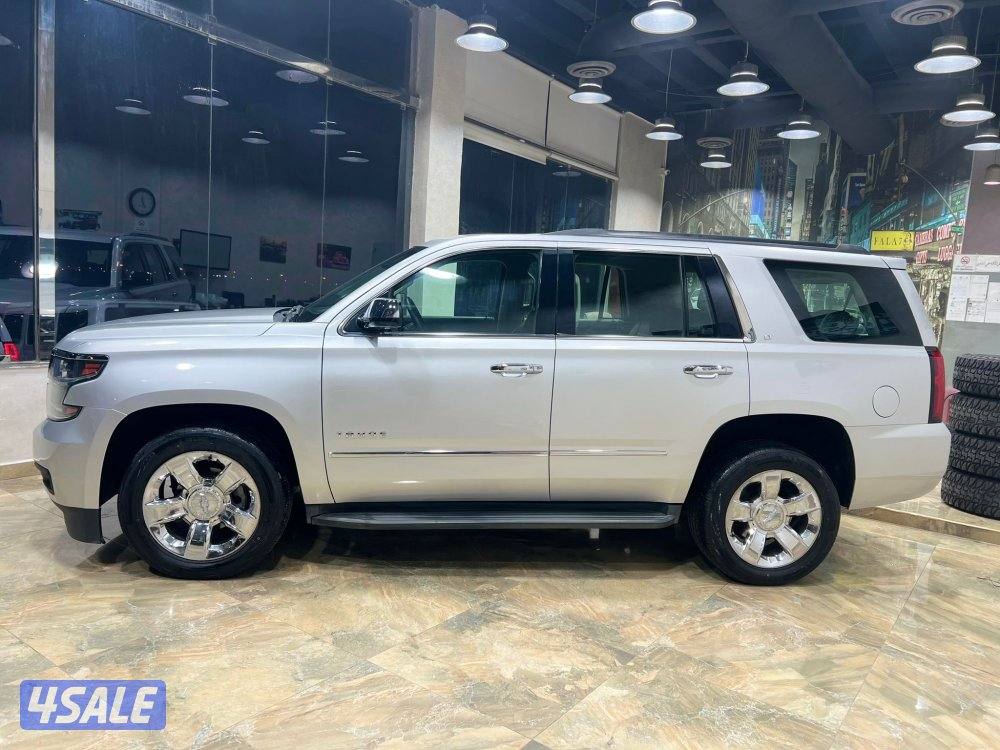 🚩 معرض الــلــورد 🚩1