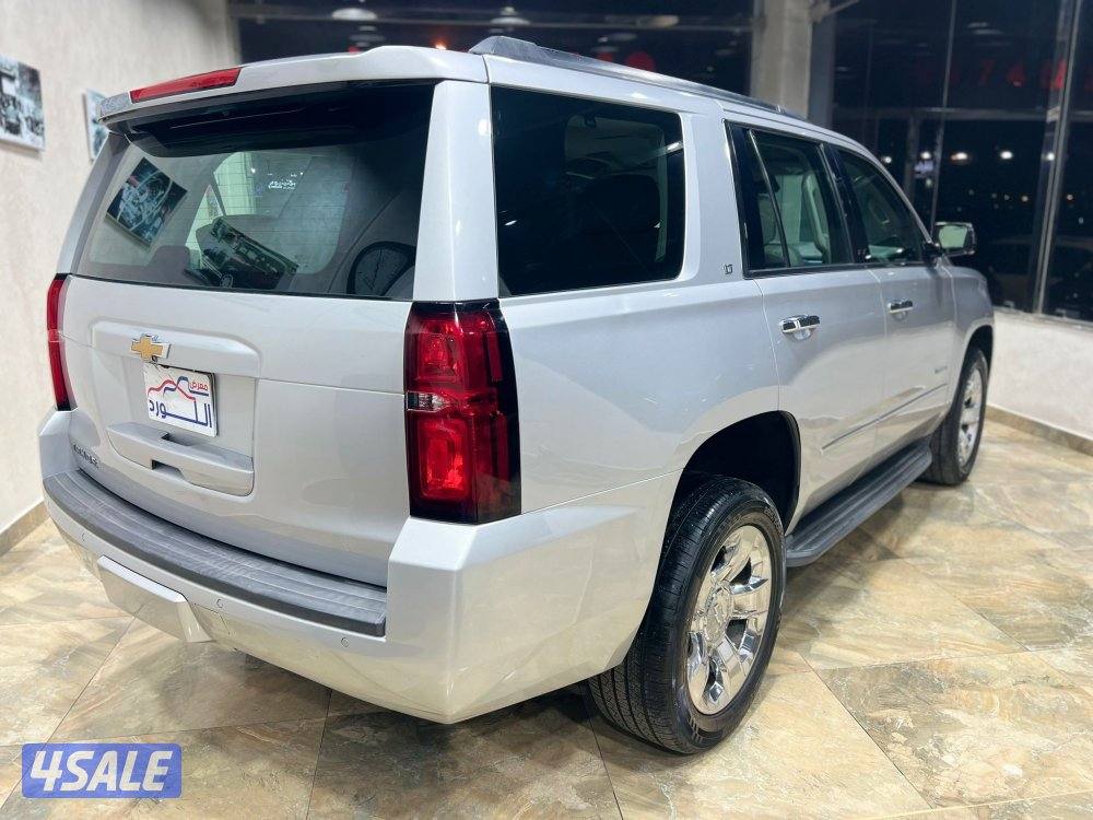 🚩 معرض الــلــورد 🚩3