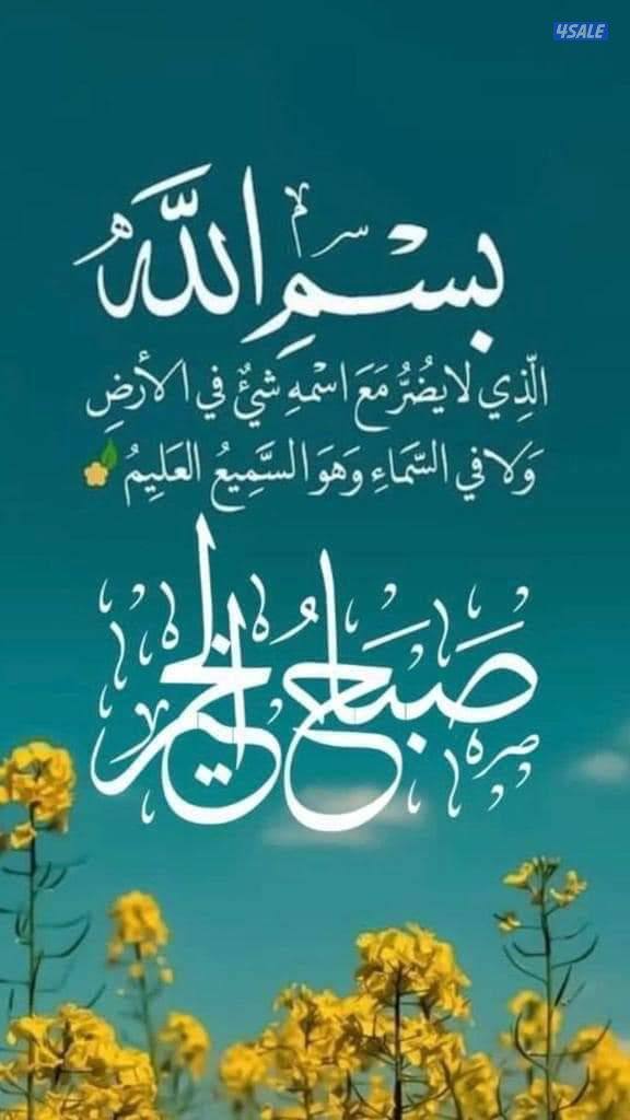 مدرسة رياضيات للصف الثانوى0