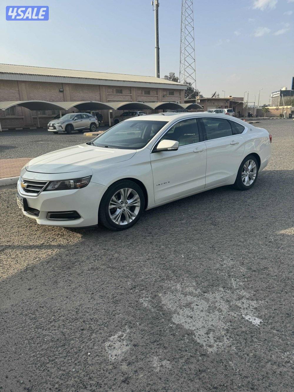 للبيع شفر امبالا0