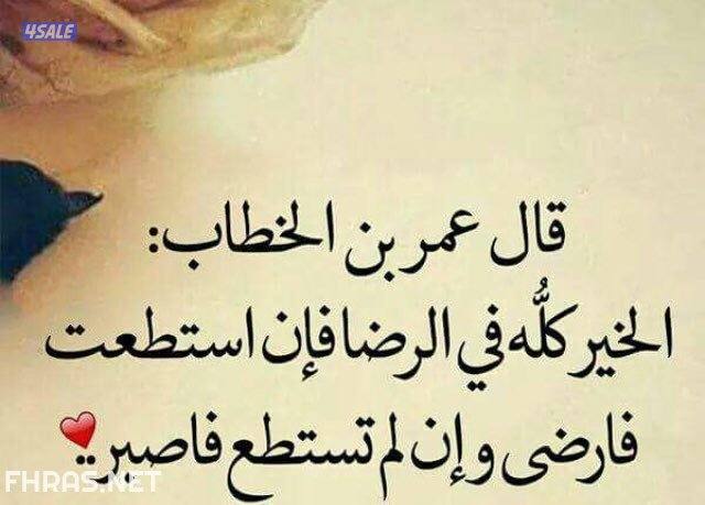 شاب من فئة البدون ابحث عن العمل . ( سكرتير . اي وظيفة)0