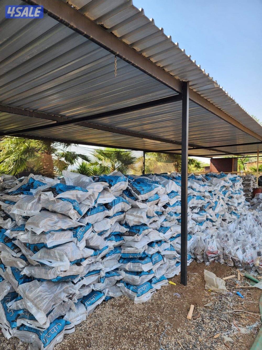 حطب أفريقي0