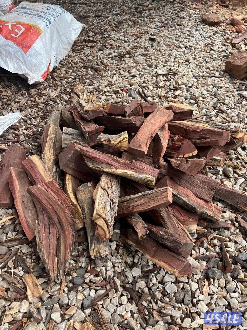 حطب أفريقي2