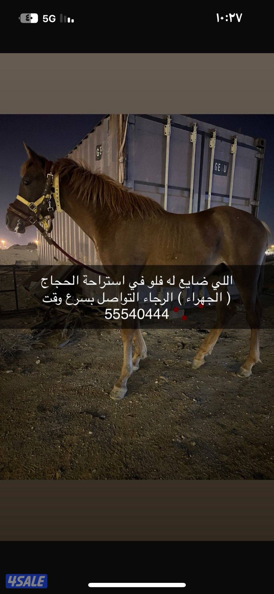 اللي ضايع له فلو في استراحة الحجاج الرجاء التواصل0