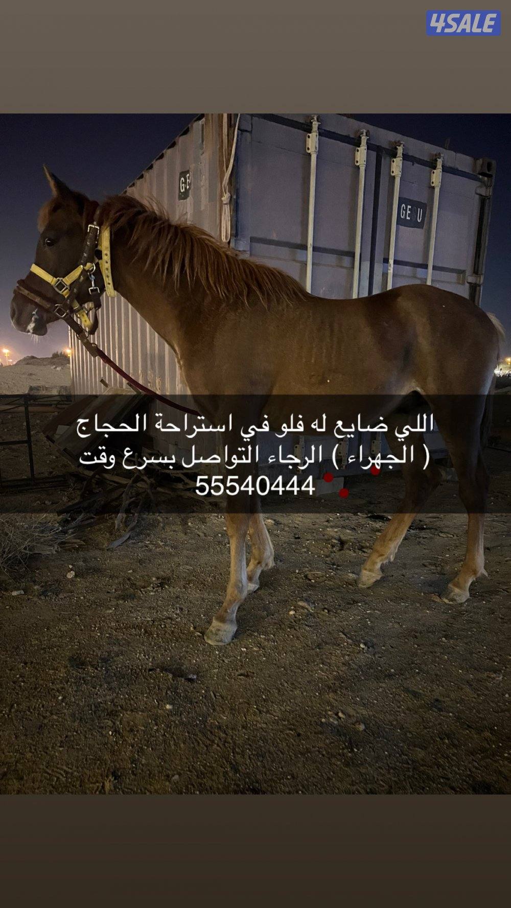 اللي ضايع له فلو في استراحة الحجاج الرجاء التواصل1