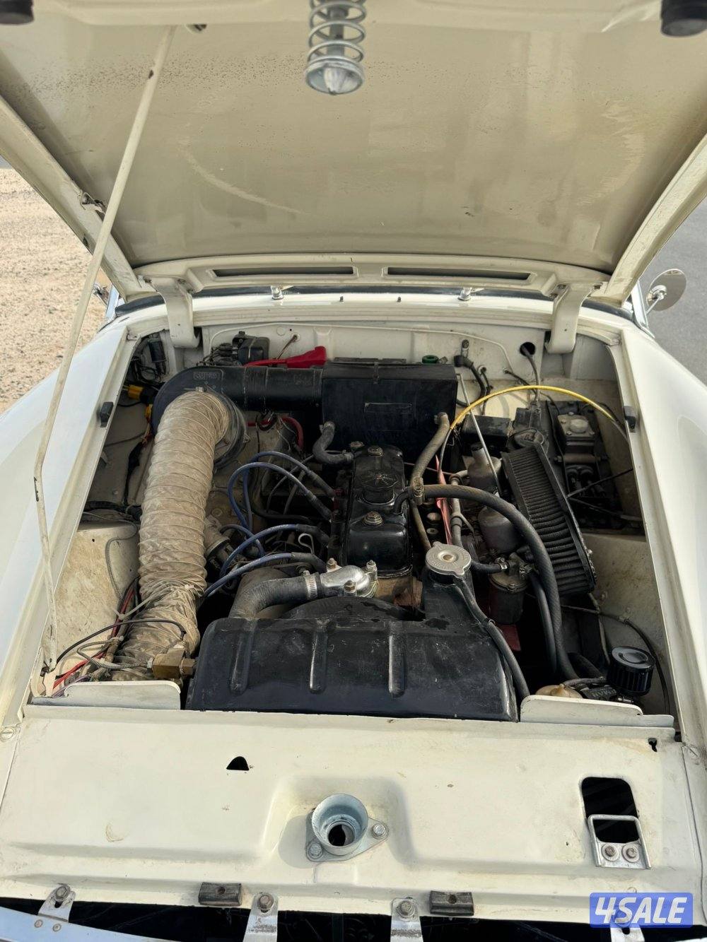 للبيع اوستن هيلي موديل 19655