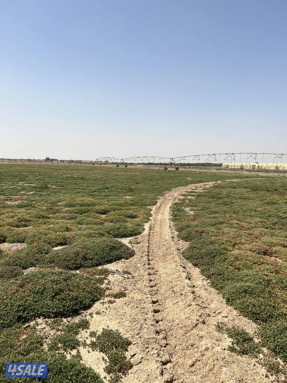 للبيع مزرعه بالعبدلي0