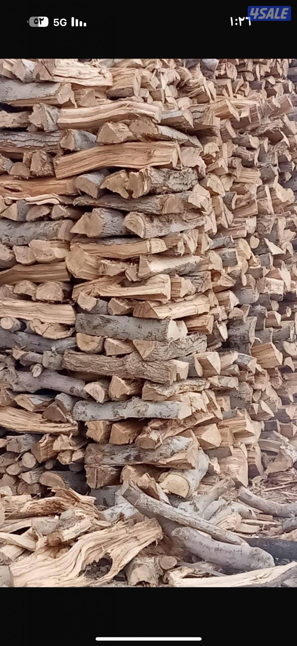 حطب زيتون درجه أولى مقطع شلايخ اخياش وزن الخيشه عشره كيلو1