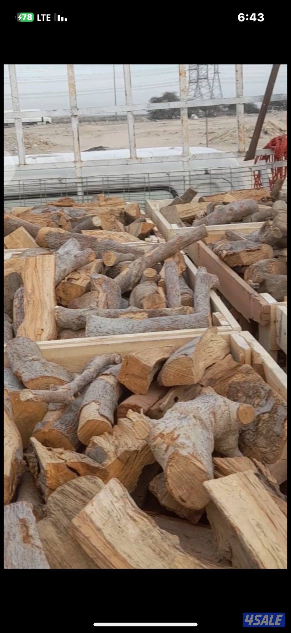 حطب زيتون درجه أولى مقطع شلايخ اخياش وزن الخيشه عشره كيلو5