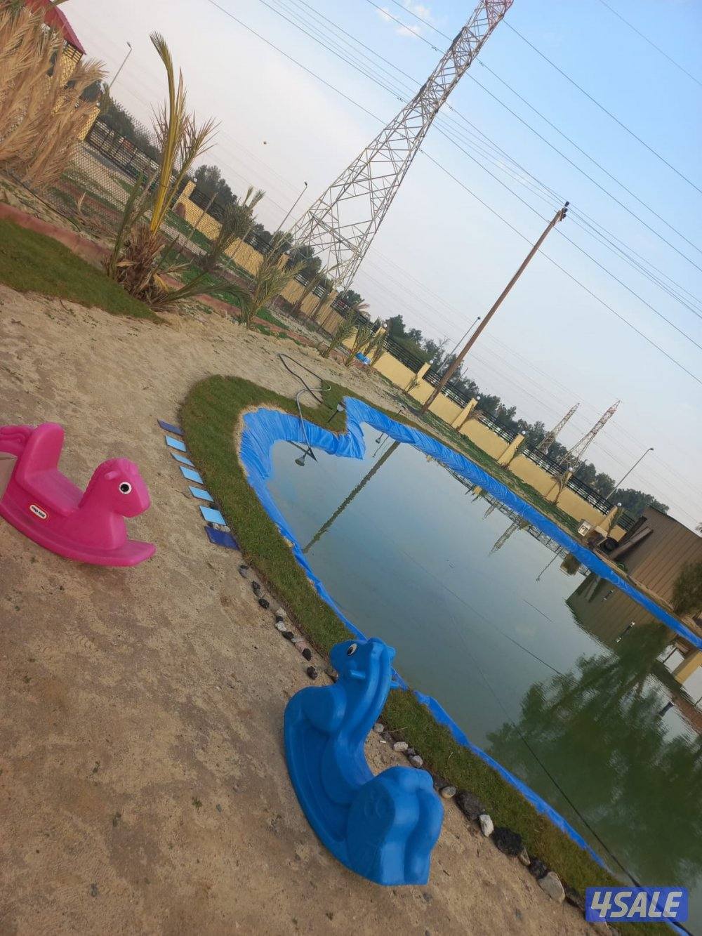 الوفره ق٢. مطلوب مهندس زراعي0