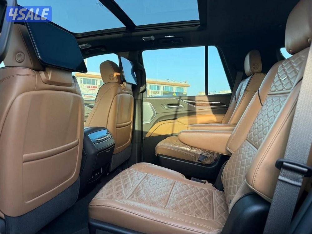 سكاليد سبورت 20211