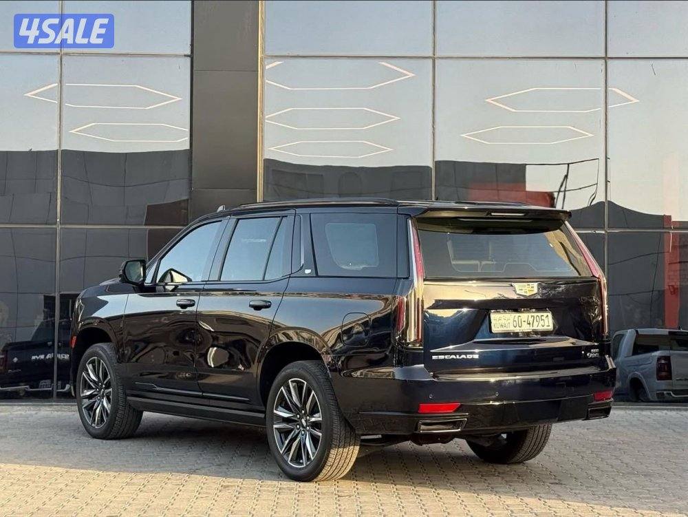 سكاليد سبورت 20212