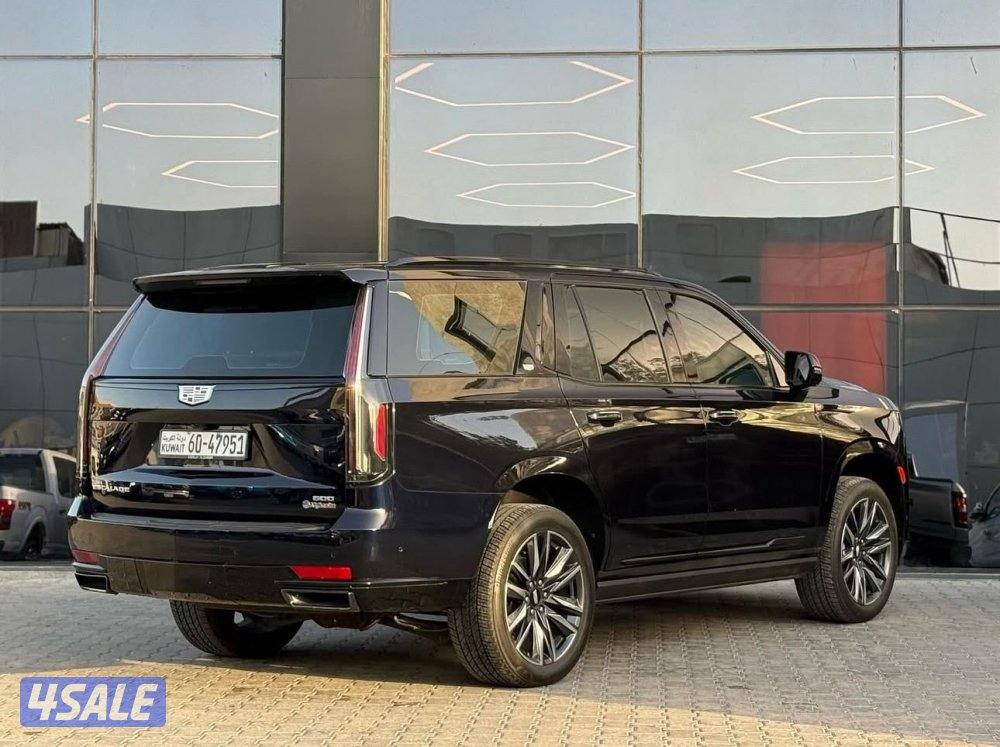 سكاليد سبورت 20213