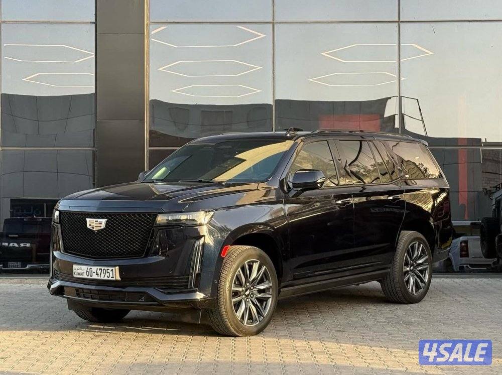 سكاليد سبورت 20215