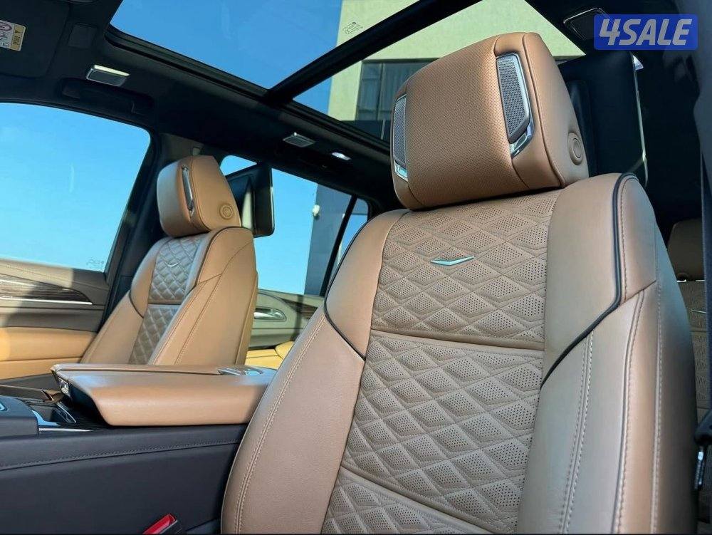 سكاليد سبورت 20216