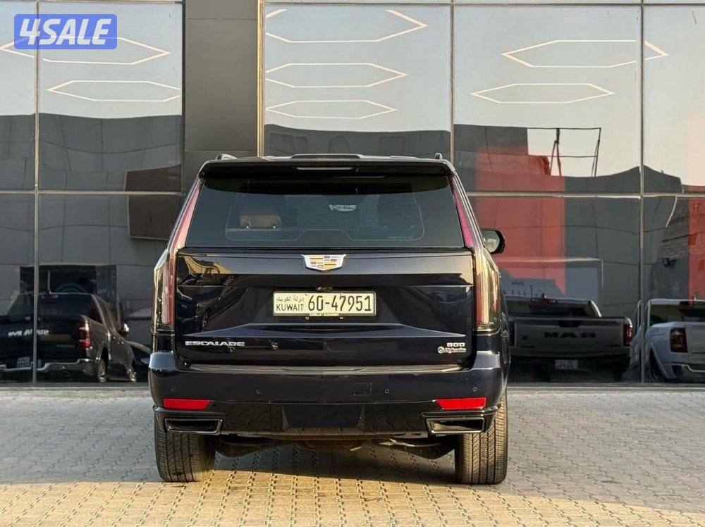 سكاليد سبورت 20217