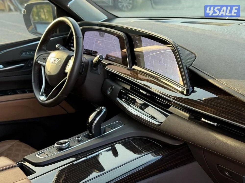 سكاليد سبورت 20218