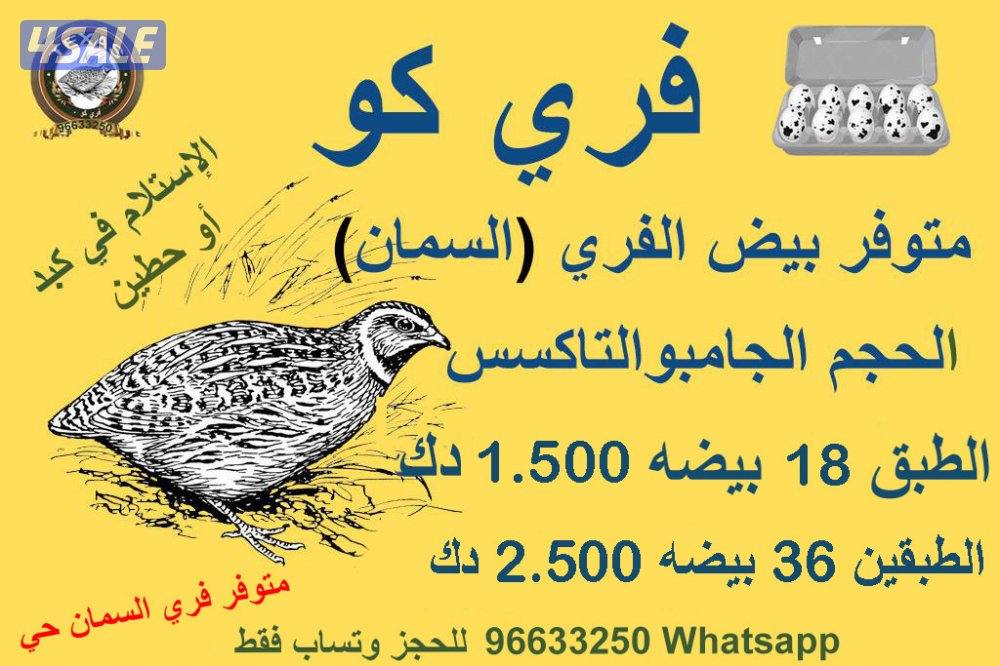 للبيع بيض فري للأكل جامبو التاكسس صحي أكل الكناري وطيور المغرده0