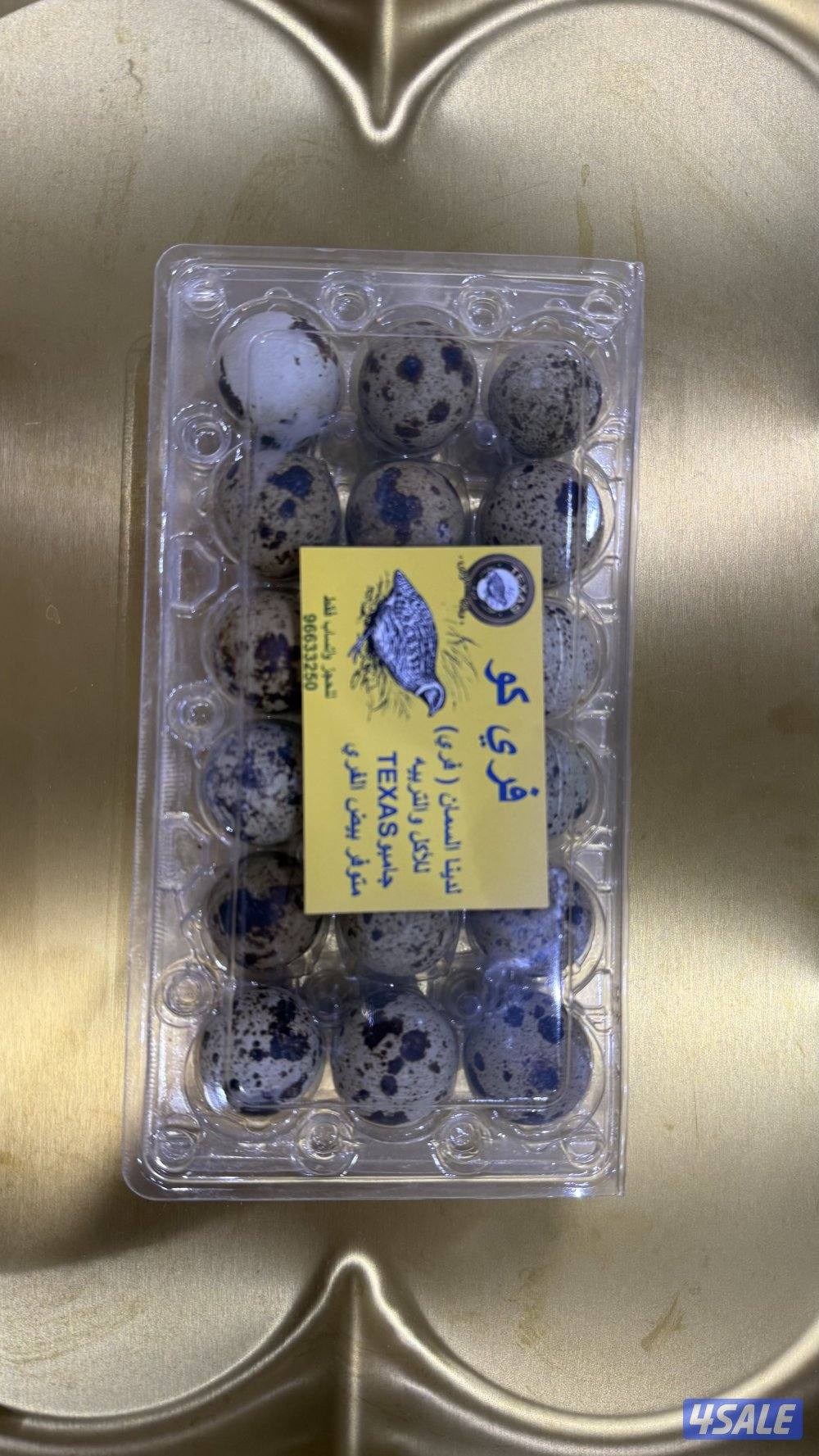 للبيع بيض فري للأكل جامبو التاكسس صحي أكل الكناري وطيور المغرده1