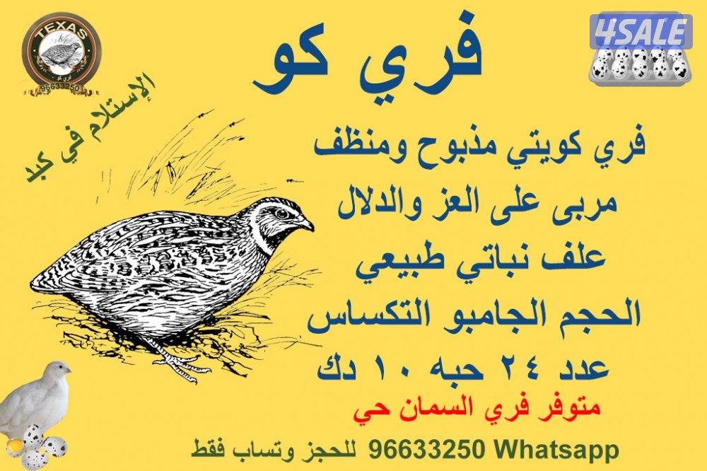 للبيع بيض فري تاكسس الجامبو للأكل وممكن لتغذية  الطيور المغرده0