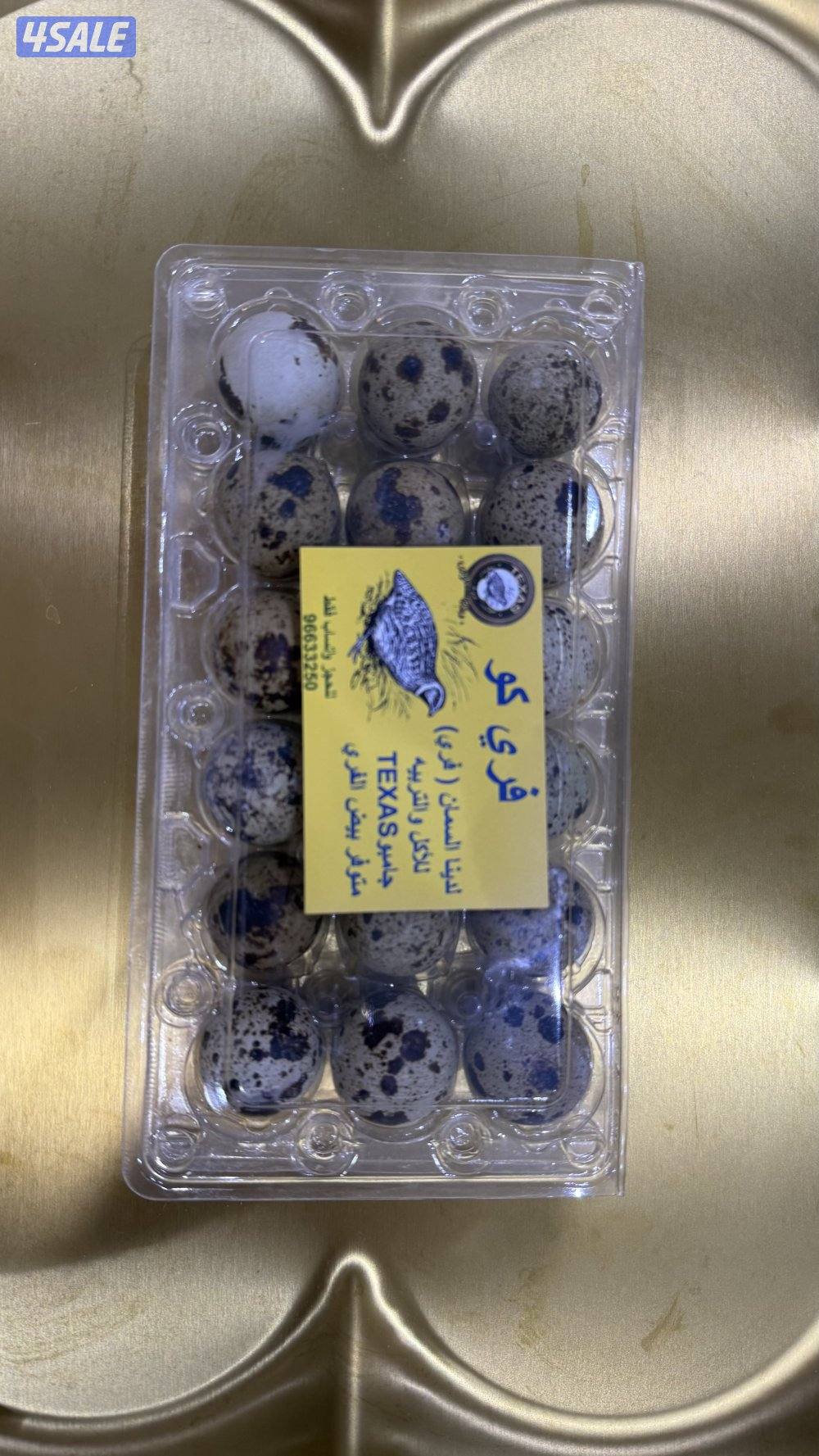 للبيع بيض فري تاكسس الجامبو للأكل وممكن لتغذية  الطيور المغرده1