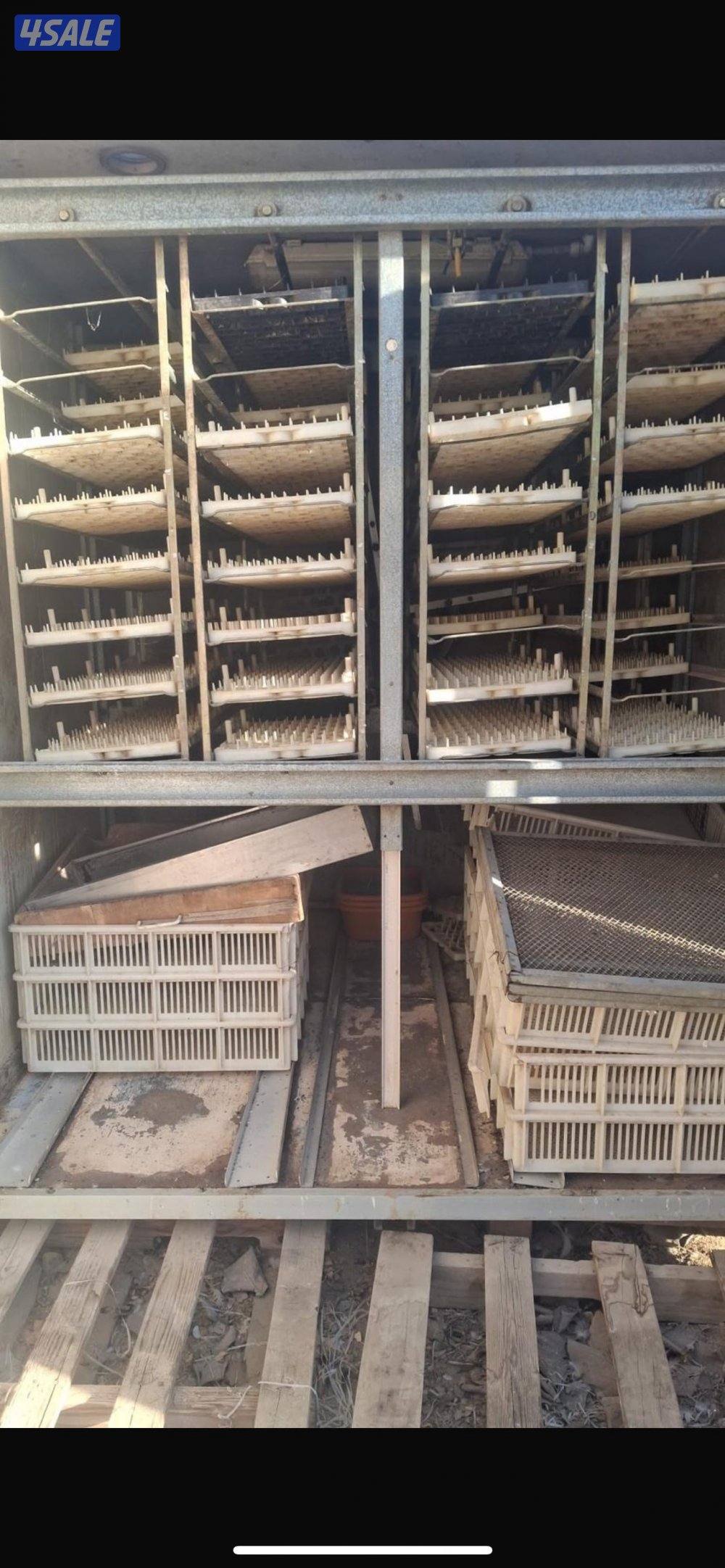 فقاسه إيطاليه ممتازه للتفقيس لمشاريع الدواجن انتاج ممتاز0