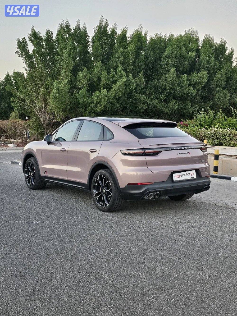 Porsche Cayenne 20210