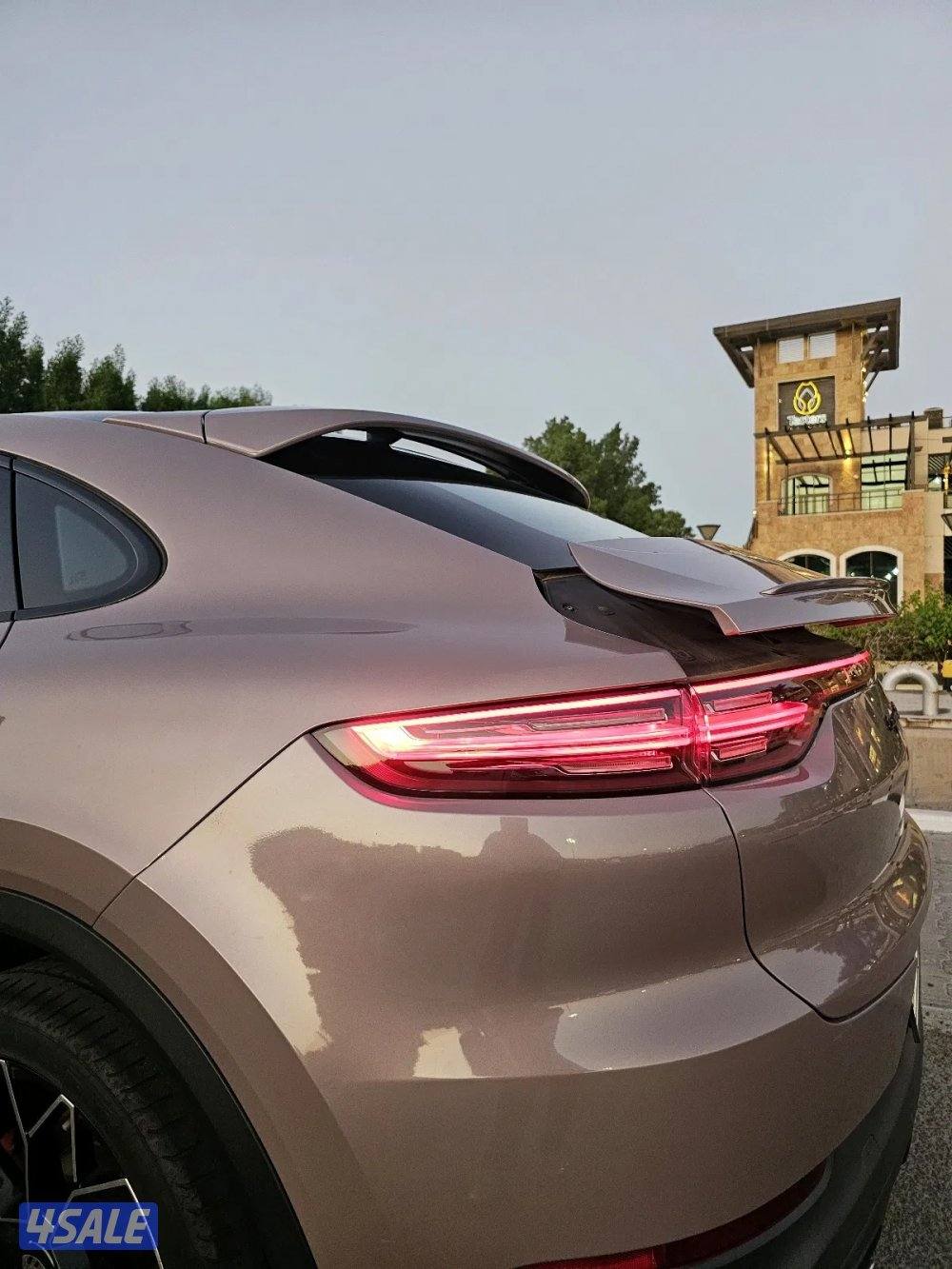 Porsche Cayenne 20213