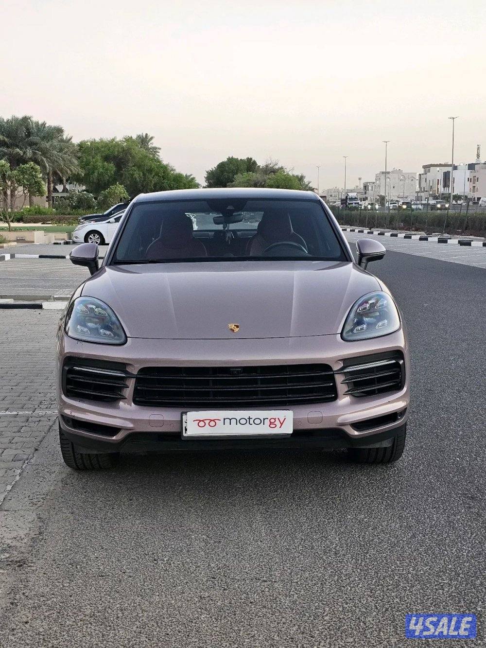 Porsche Cayenne 20217