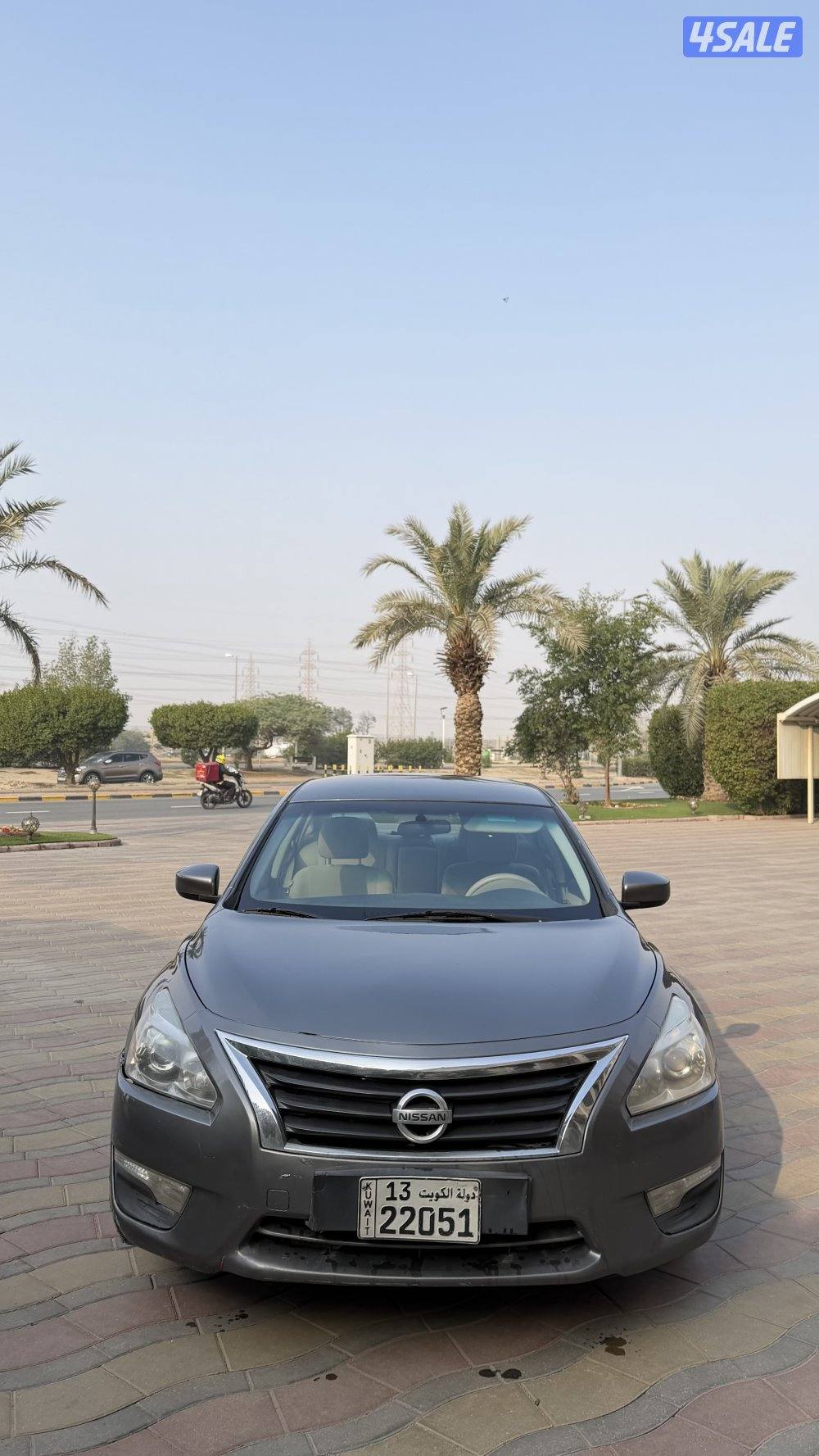 التيما مالك اول2