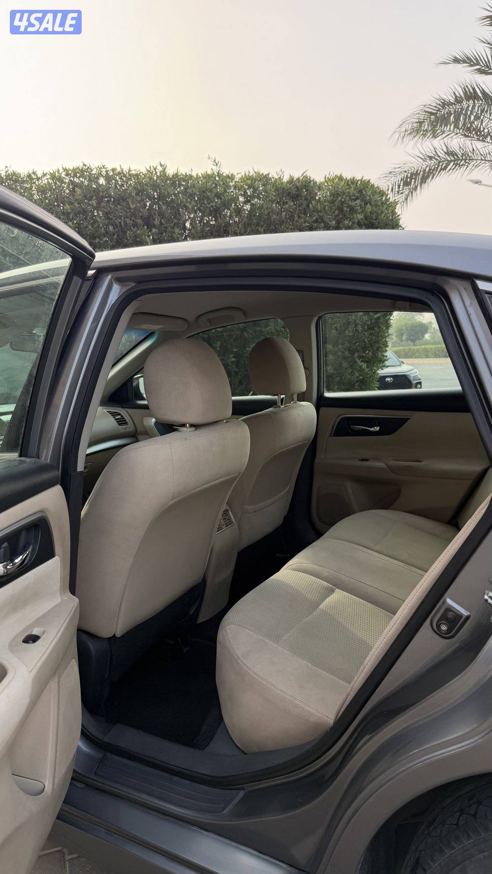 التيما مالك اول6