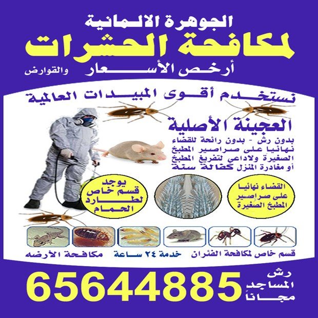 صادق / مشترك بحث1