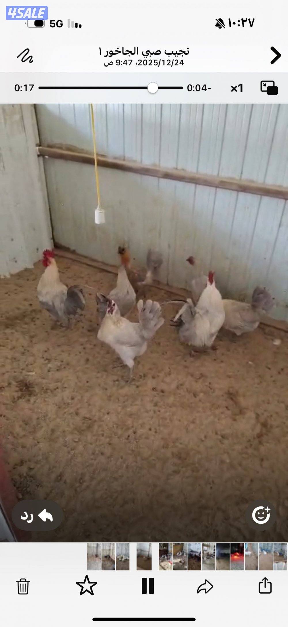 للبيع حلال متنوع0