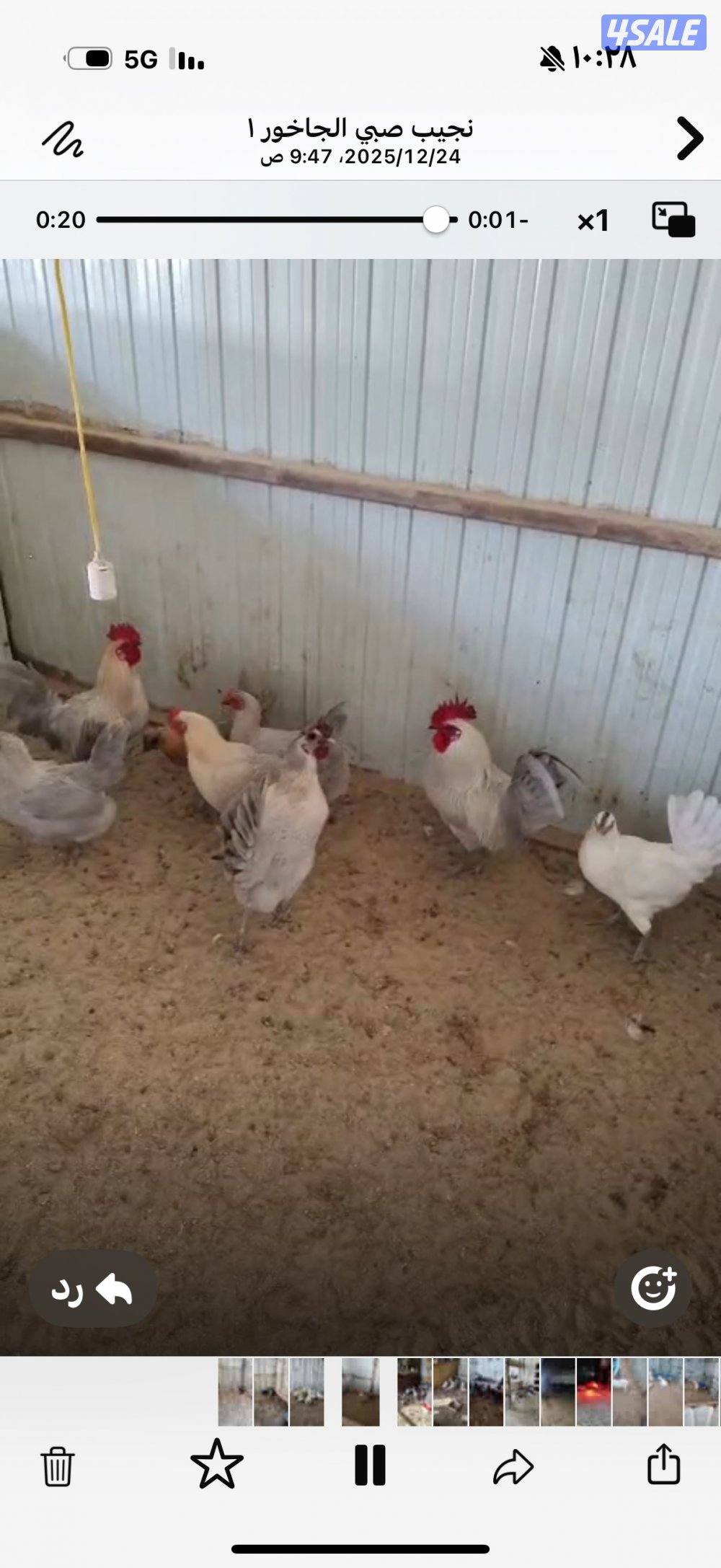 للبيع حلال متنوع9