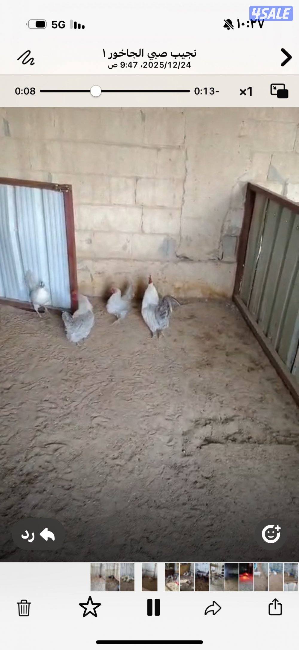 للبيع حلال متنوع11