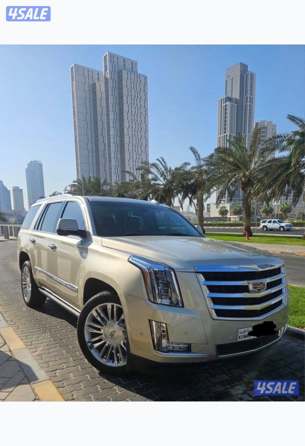 بيعة سريعة بداعي السفر0