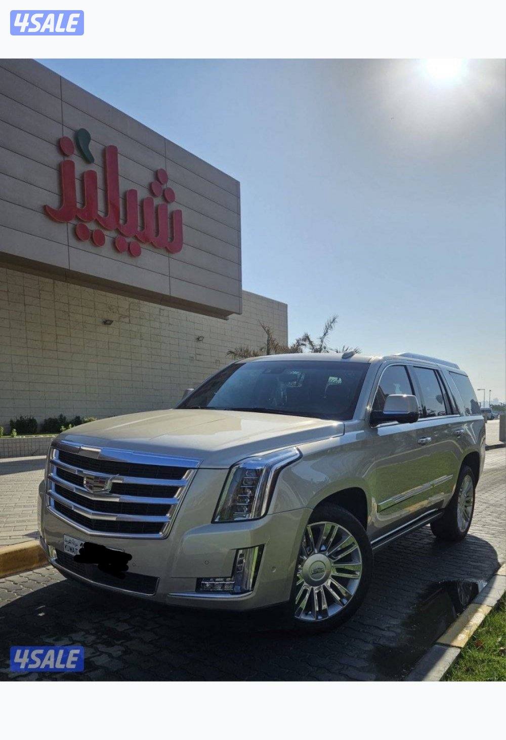 بيعة سريعة بداعي السفر1