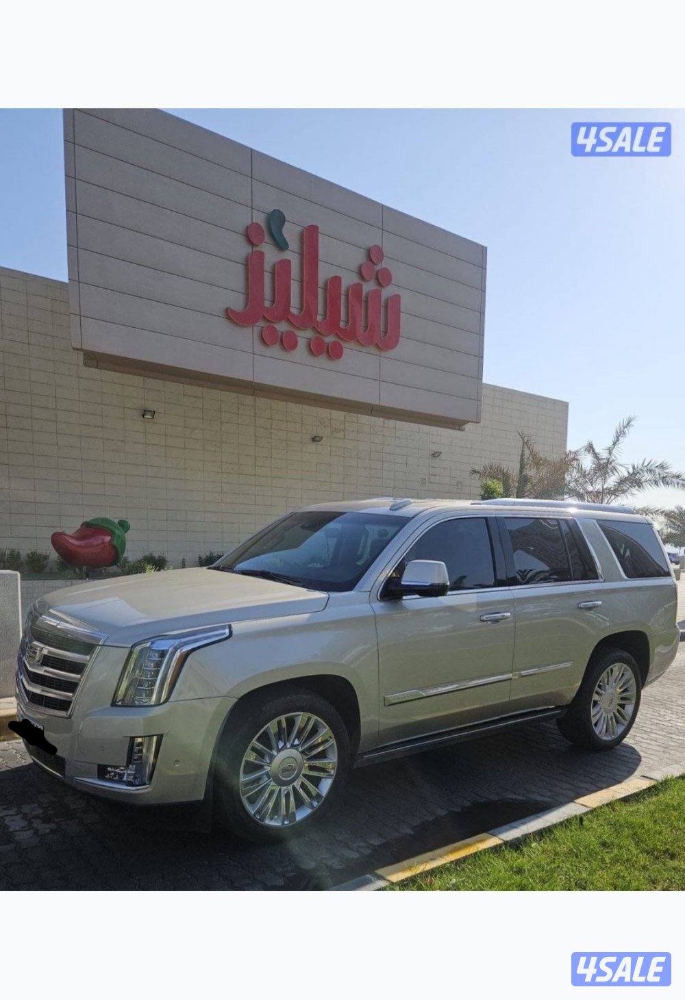 بيعة سريعة بداعي السفر2