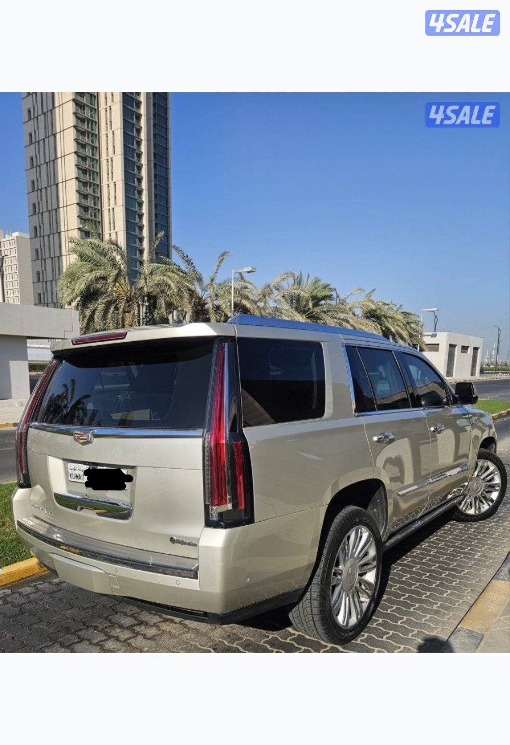 بيعة سريعة بداعي السفر5