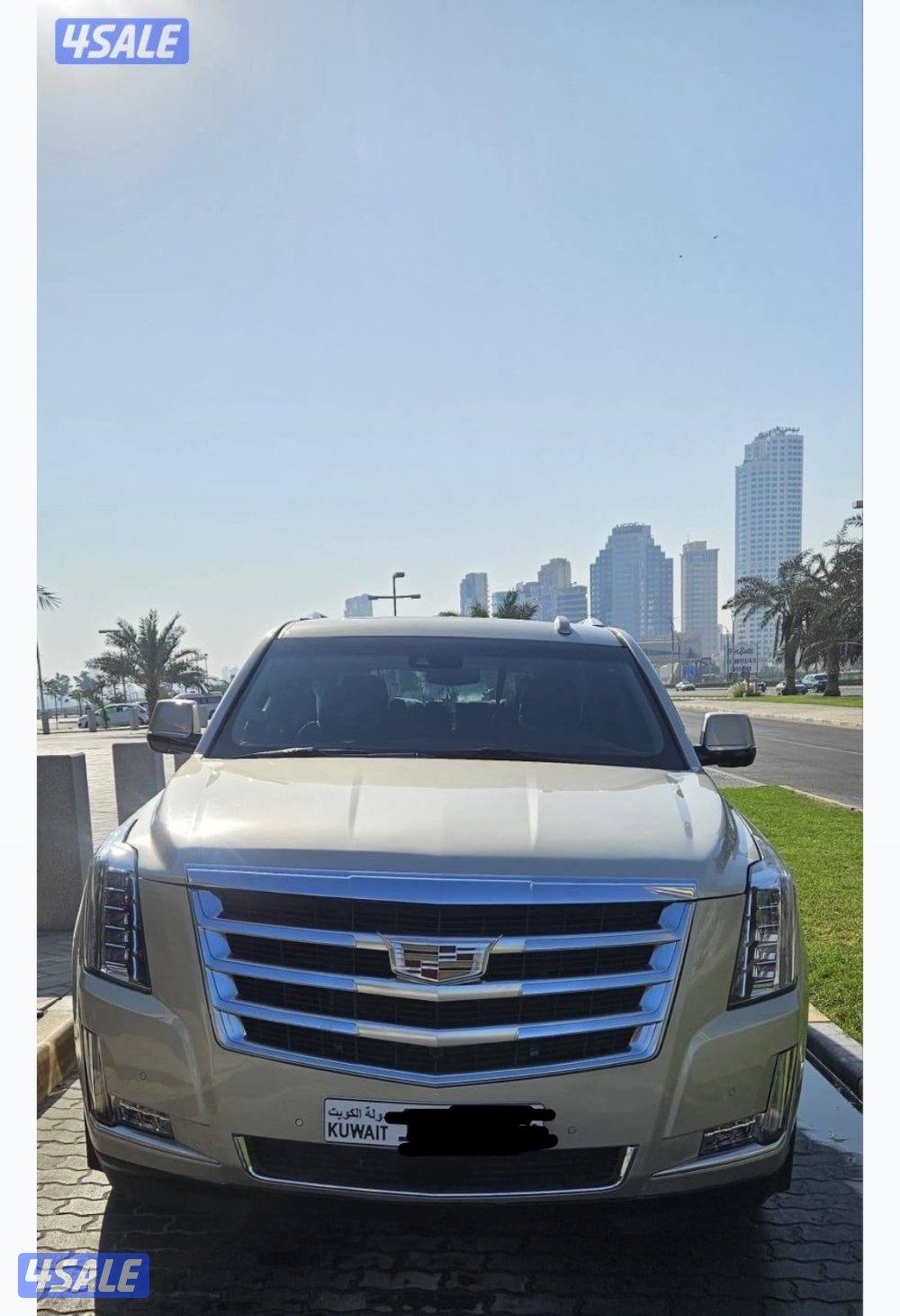 بيعة سريعة بداعي السفر6