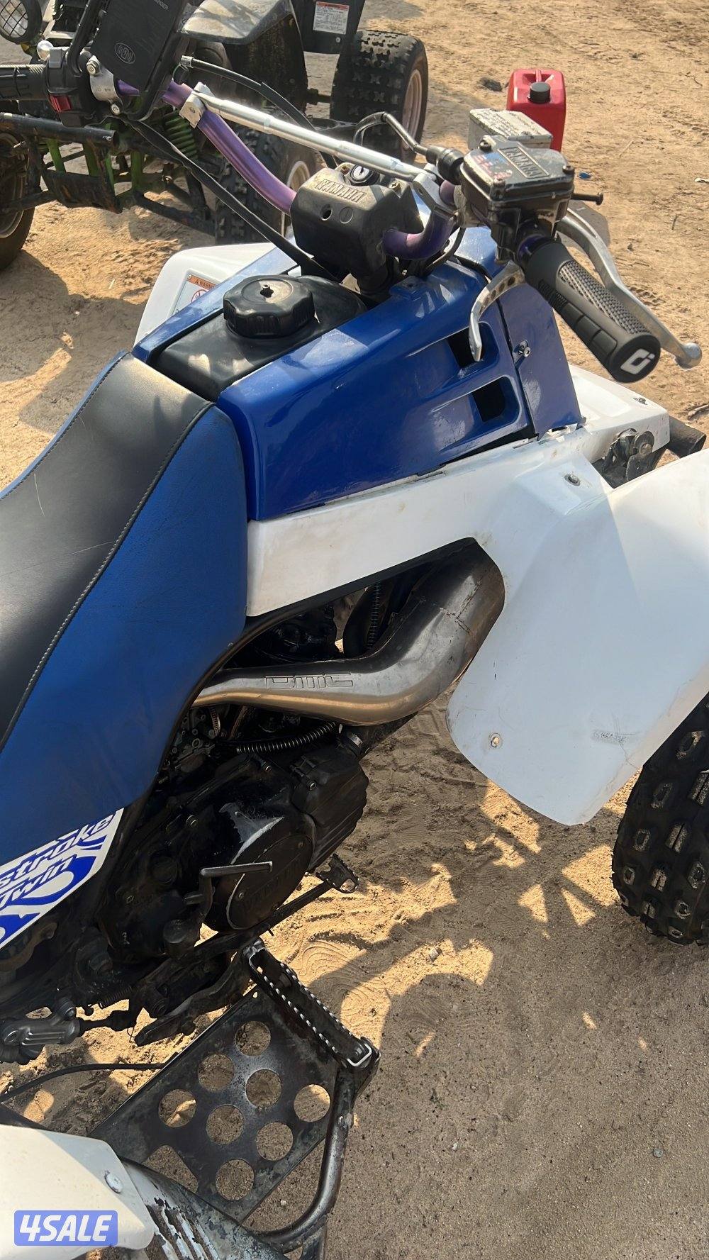 بانشي 2003 شرط الفحص3