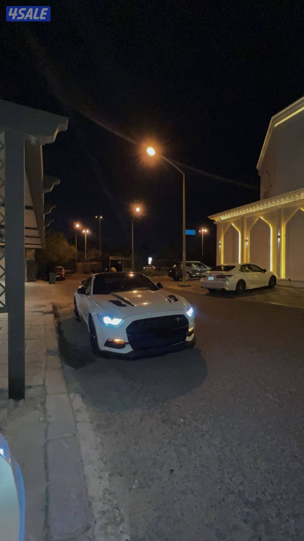 للبيع موستنق بيعه سريعه5