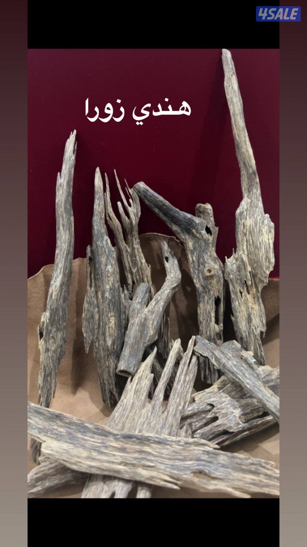 عود زورا  نجلاند0