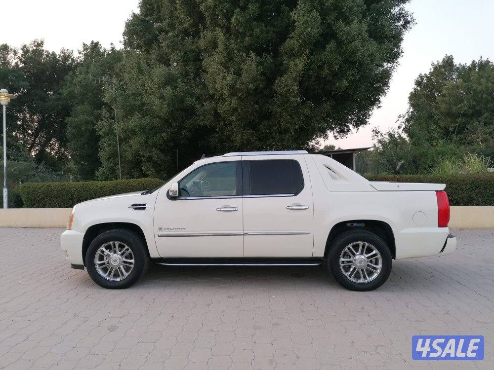 منطقة سلوي8