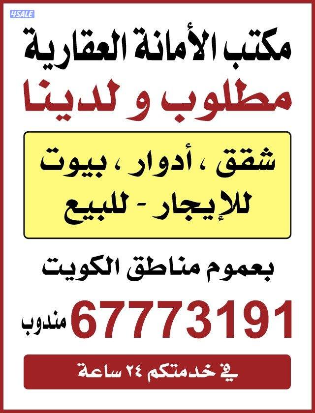 للايجار في ابوفطيره سرداب ٤غرف كلهم ماستر غرف سايك لايجار ٧٥٠دك0