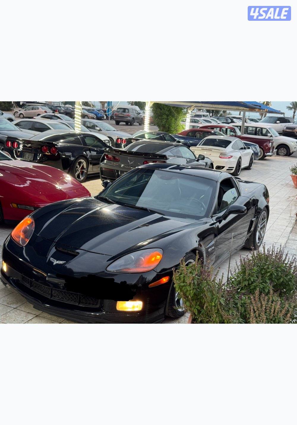 للبيع كورفت موديل 2008 zo6 عداد 1056